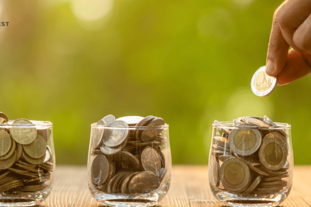 Fortune Coin Investment Risks_ What Every Investor Should Know